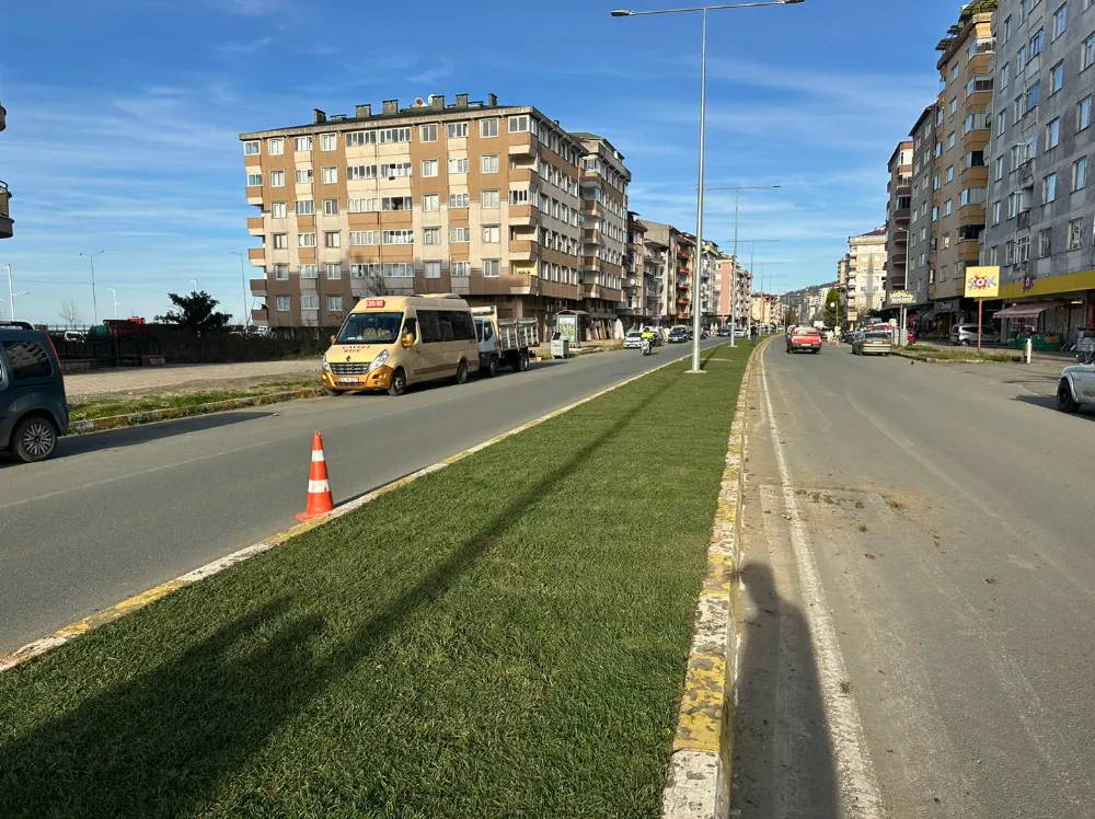 Çayeli Belediyesi İlçenin Çeşitli Noktalarında Çalışmalarını Sürdürüyor