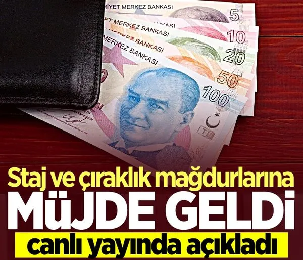 Staj ve çıraklık sigortası mağdurlarına müjde! Canlı yayında açıkladı...