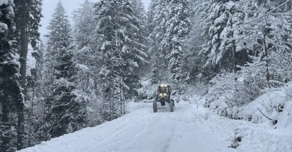 Giresun ve Artvin