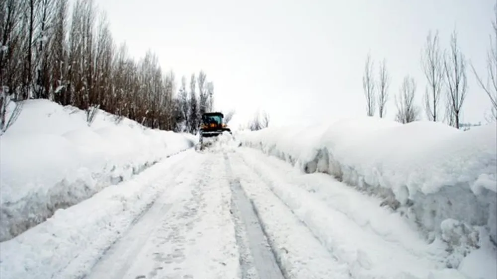 Erzurum ve Tunceli