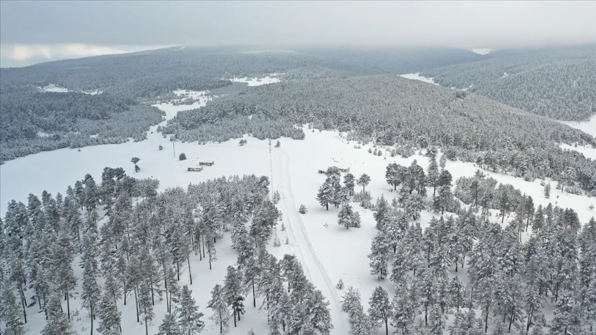 Karla kaplı Kars, Türkiye Ralli Şampiyonası