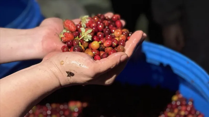 Türk iş insanları Etiyopya