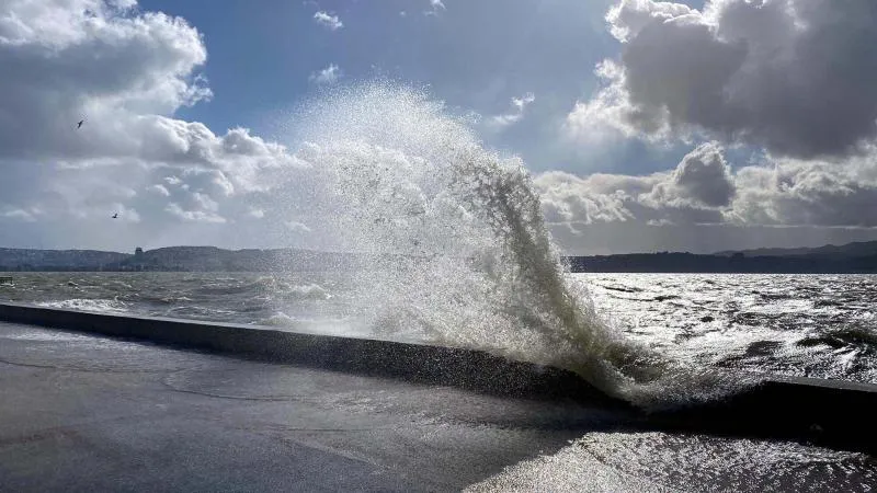 Marmara ve Akdeniz için 