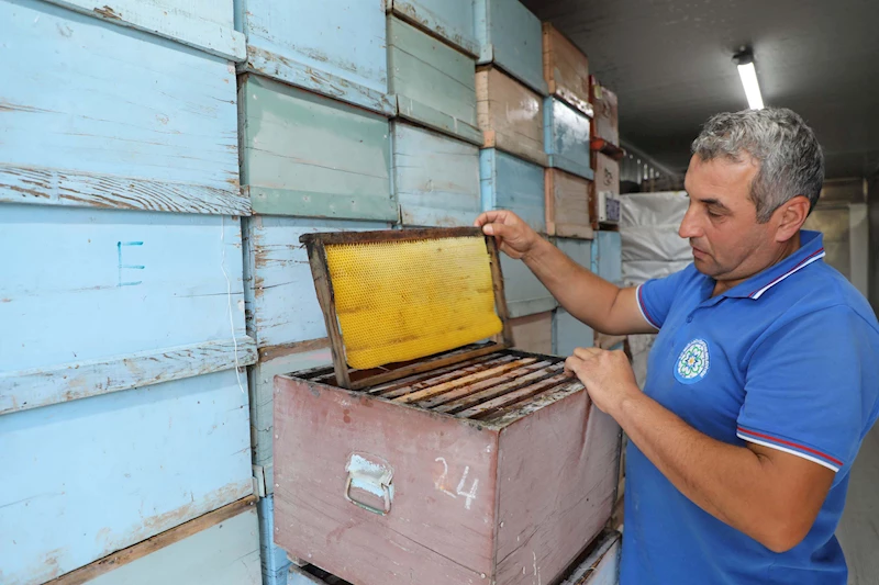 Temiz Petek Projesi, hizmet vermeye başladı