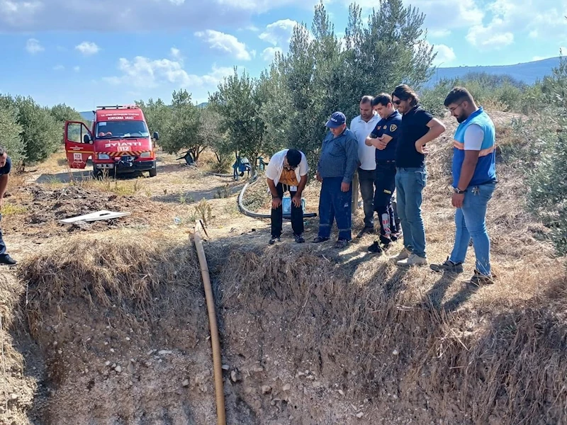 Boş su kuyusunda mahsur kalan köpek kurtarıldı