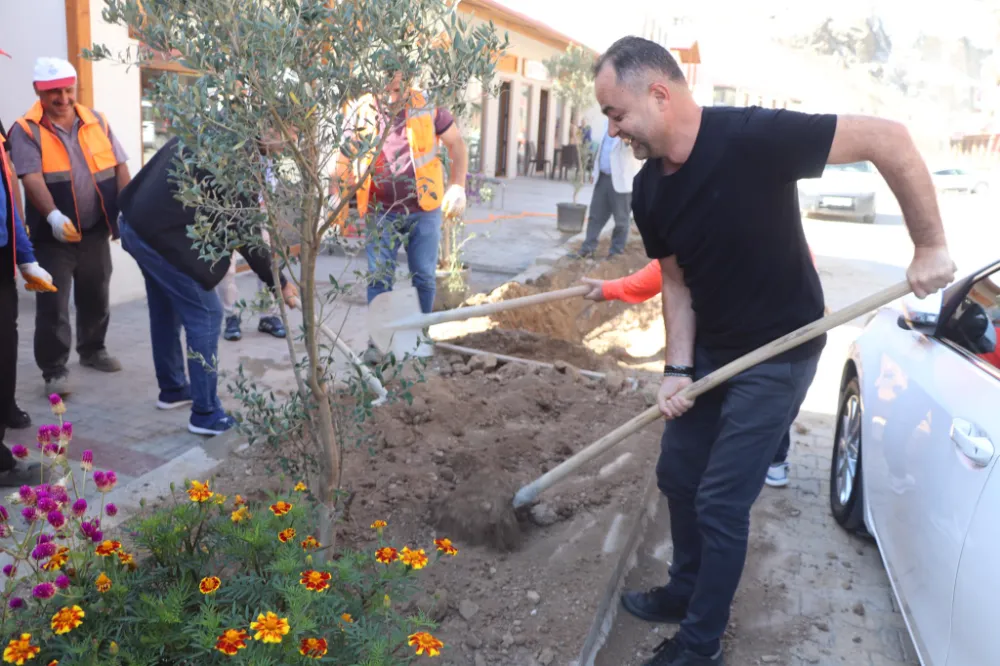 Yusufeli’nde Zeytin Fidanları Barış ve Umut İçin Toprakla Buluştu