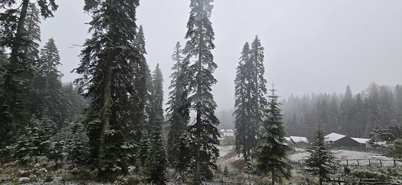 Düzce ve Bolu