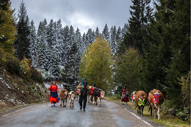 Doğu Karadeniz