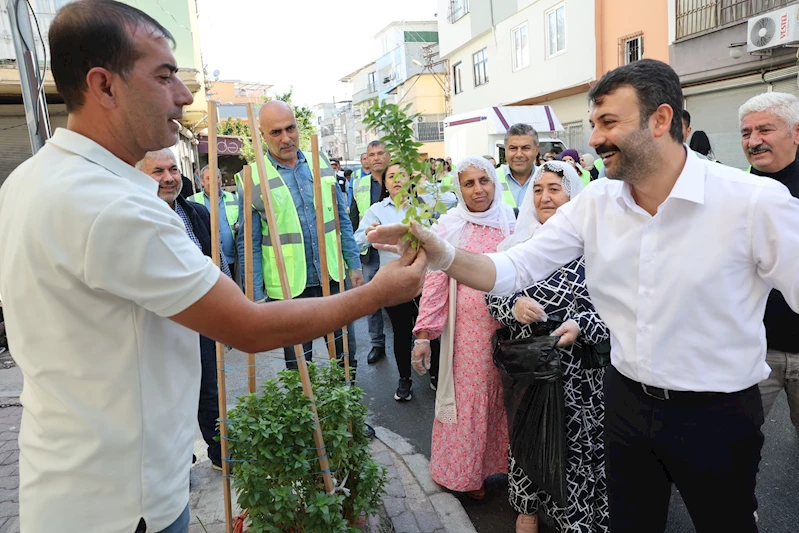 Akdeniz’de temizlik kampanyası devam ediyor