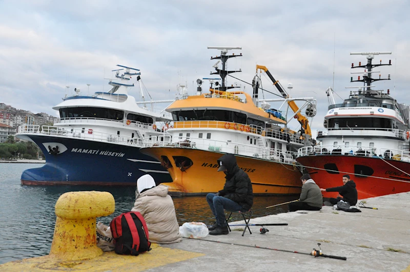 Sert esen rüzgar nedeniyle balıkçı tekneleri Sinop Limanı