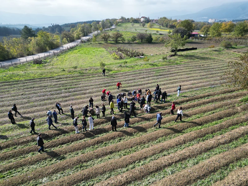 Karabük