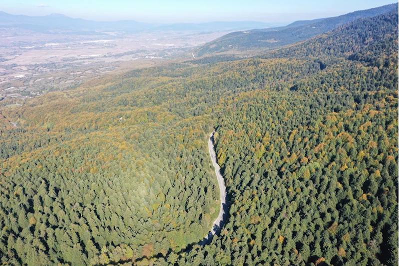 Gölcük Tabiat Parkı ve çevresi hazan mevsiminin renkleriyle süslendi 