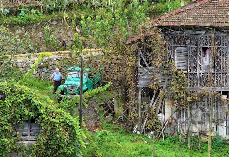 Trabzon