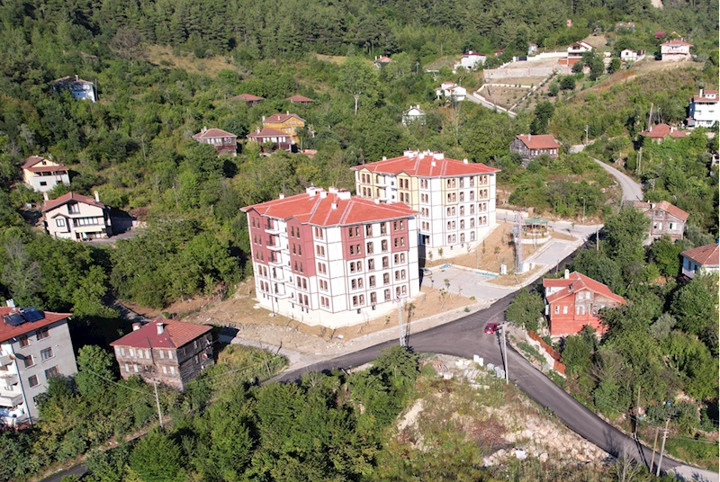 Bozkurt