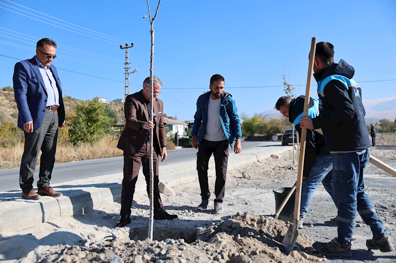 Başkan Özdoğan, çevre düzenleme ve ağaçlandırma çalışmalarını yerinde inceledi