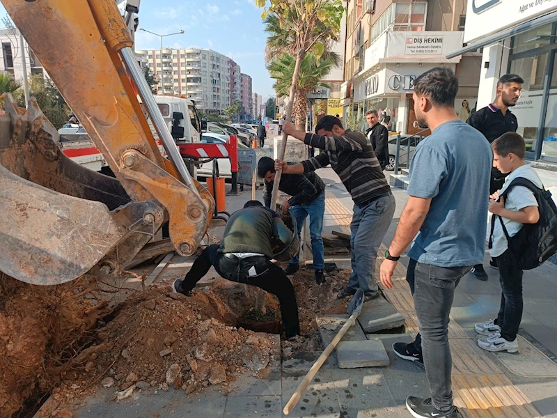 Kaldırımdaki 15 yıllık ağacı motorlu testereyle kesti; o anlar kamerada (2)