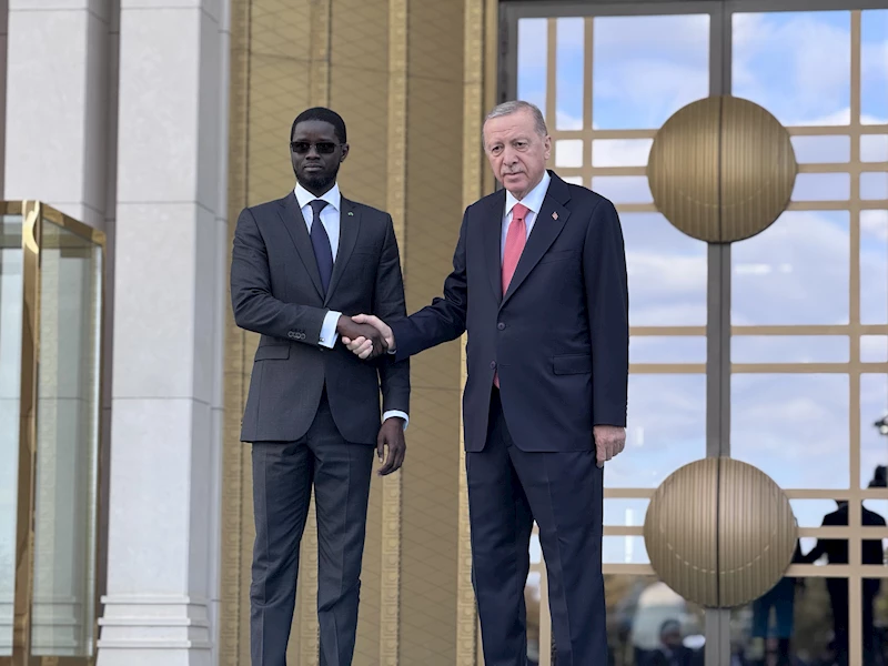 Cumhurbaşkanı Erdoğan, Senegal Cumhurbaşkanı Faye