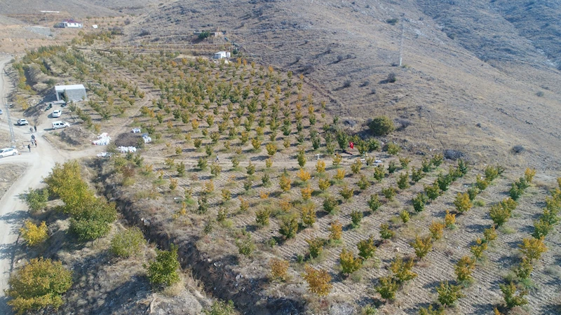 Elazığ