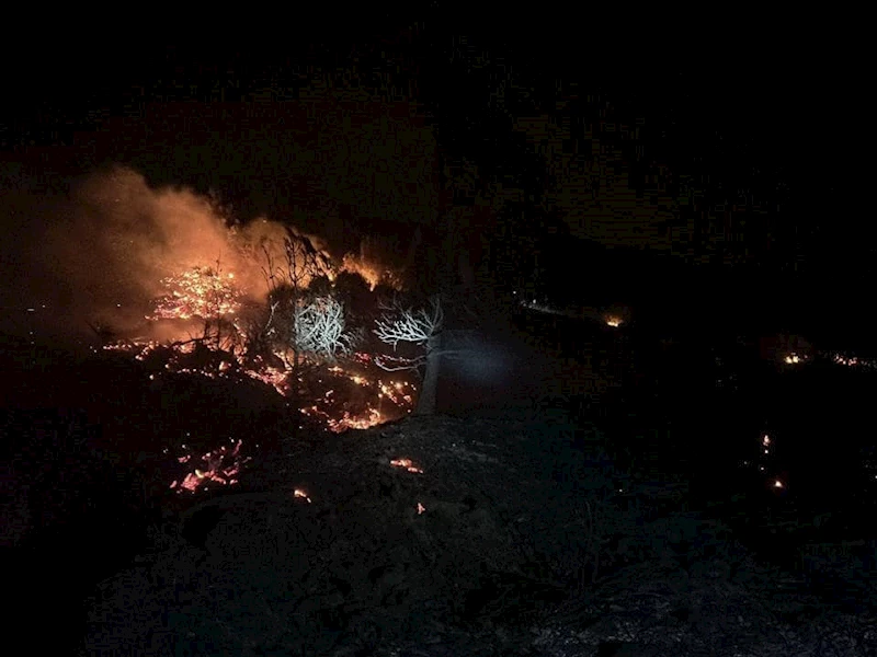 Hatay’daki orman yangınında 5 hektar alan tahrip oldu