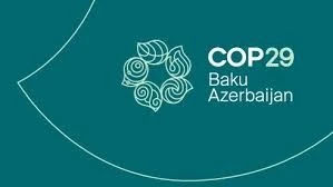 BM İklim Konferansı COP29 Bakü