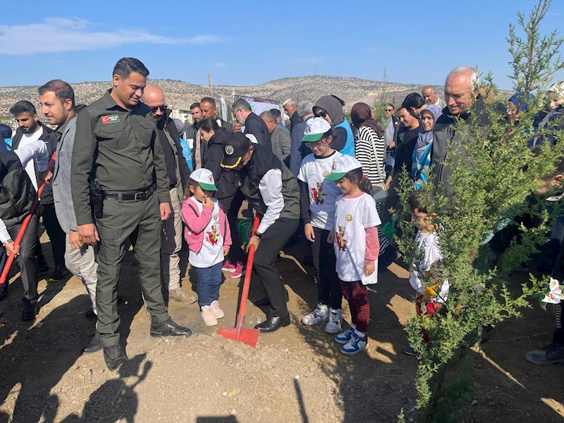 Kilis’te, fidan dikim etkinliği