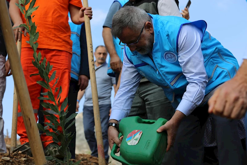 Türkiye Diyanet Vakfı, 800 bin fidanı toprakla buluşturdu