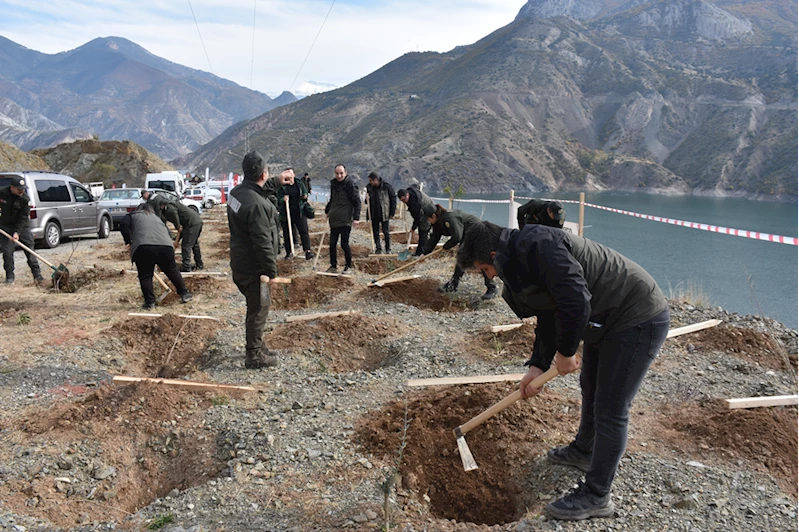 Orta ve Doğu Karadeniz