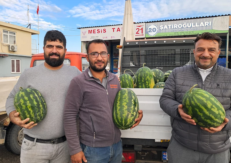 Mevsimin ilk karpuzu hale girdi