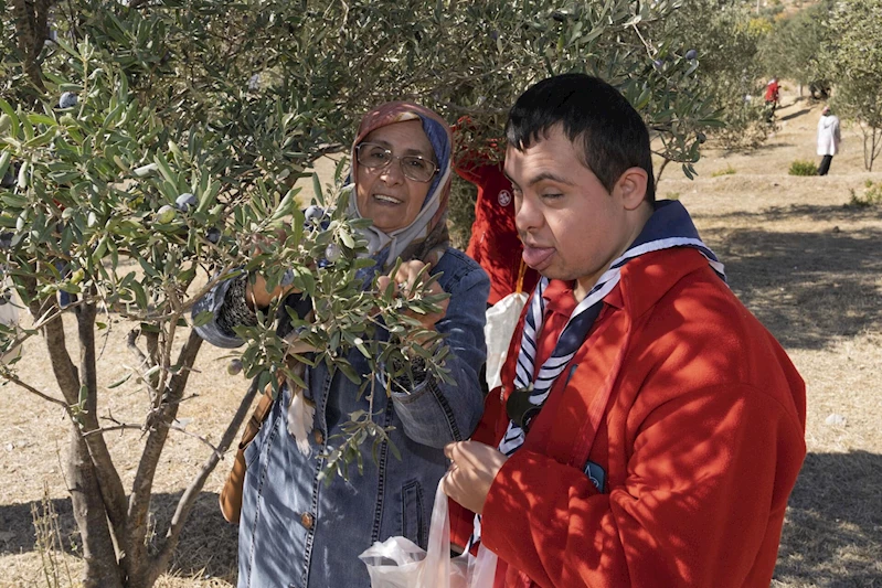 Engelli bireyler zeytin hasadıyla sosyalleşti