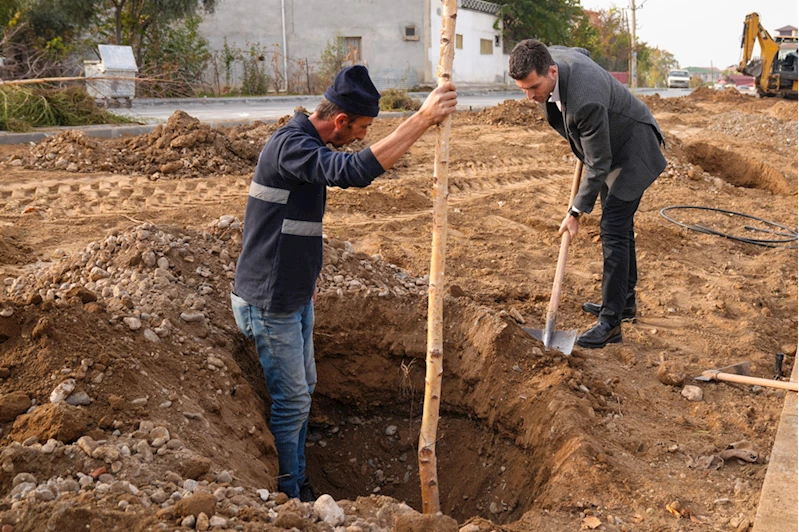 Erbaa Belediyesince 350 adet huş ağacı fidanı dikildi