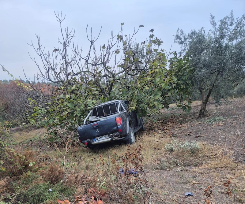 Mevsimlik işçileri taşıyan kamyonet ağaca çarptı: 1 ölü, 7 yaralandı 