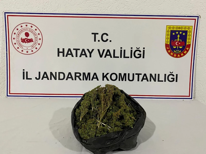 Hatay’da kaçakçılık ve uyuşturucu operasyonları: 31 gözaltı