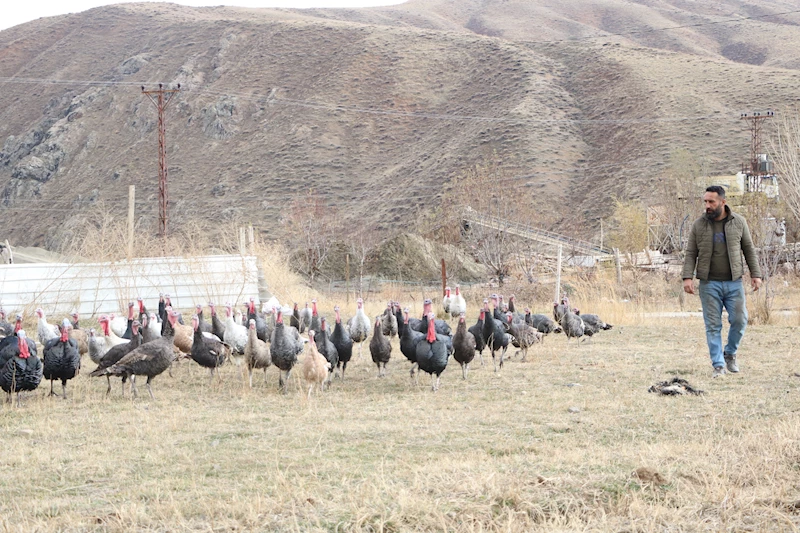  Hakkari