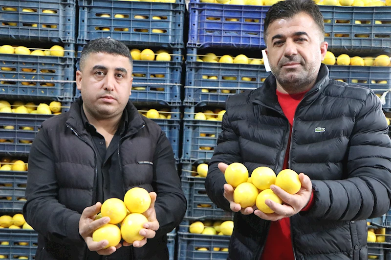 Limonda hal-market makası 10 katı aştı