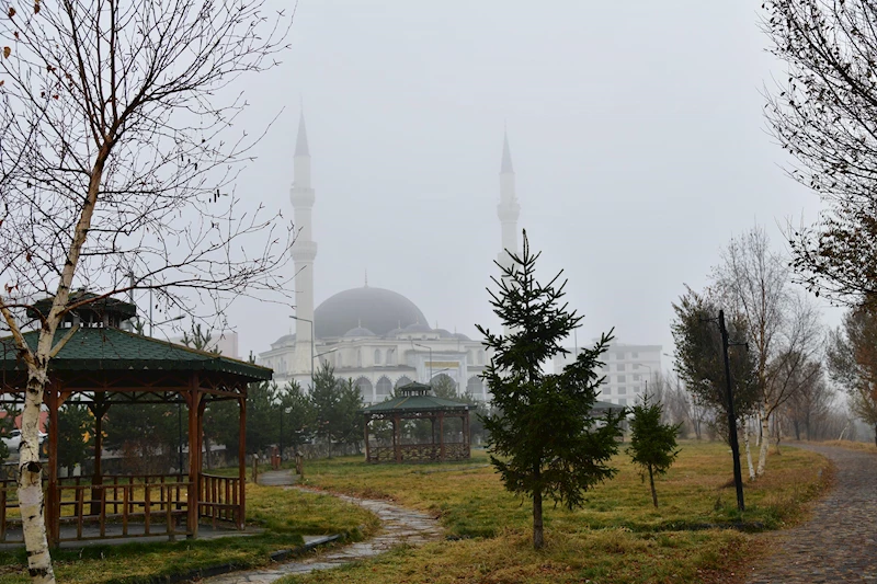 Ardahan’da sis etkili oldu