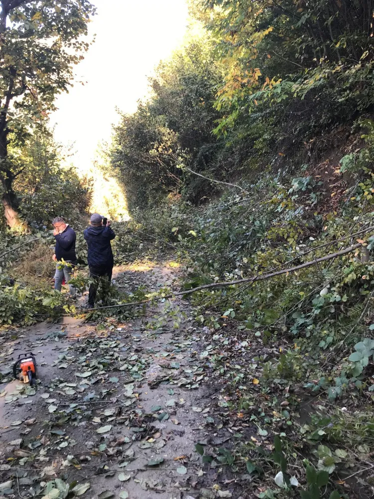 Borçka Belediyesi’nden Küçükköy’e Çevre ve Güvenlik Odaklı Temizlik Çalışması