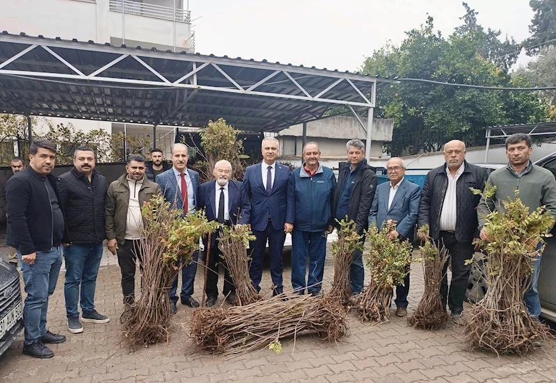 Hatay’da çiftçilere 4 bin 500 sumak fidanı dağıtıldı 