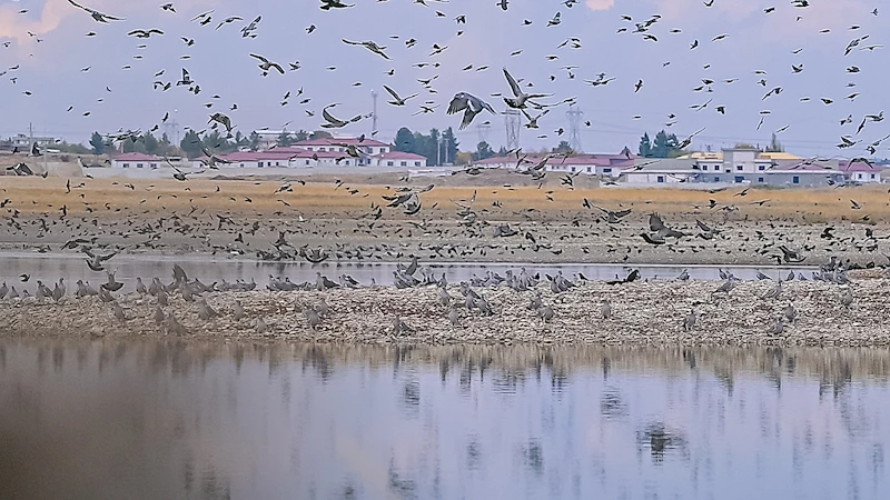 Diyarbakır