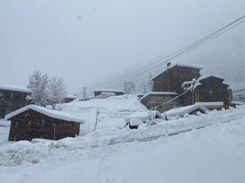 Uzungöl ve Ayder