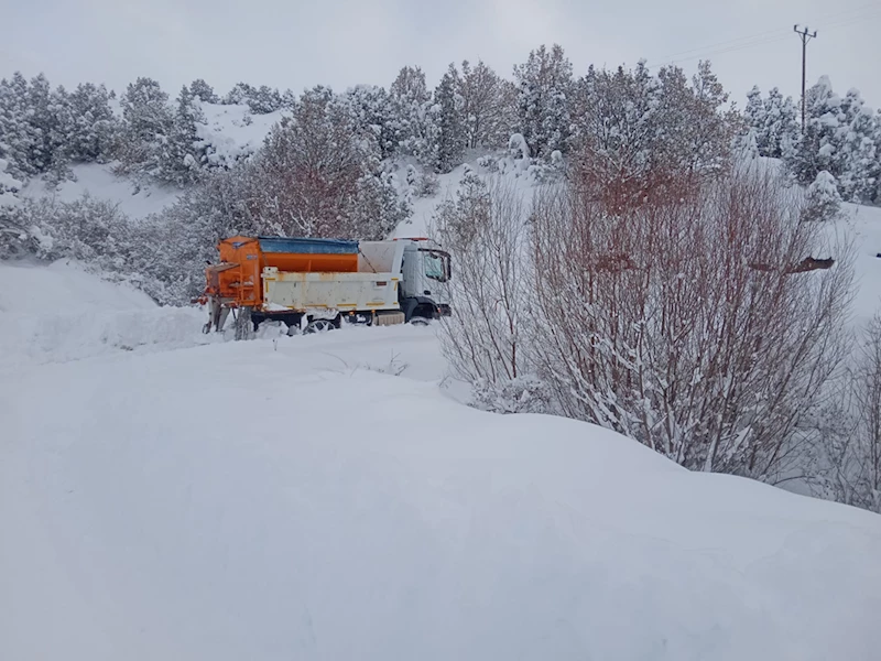 Orta ve Doğu Karadeniz