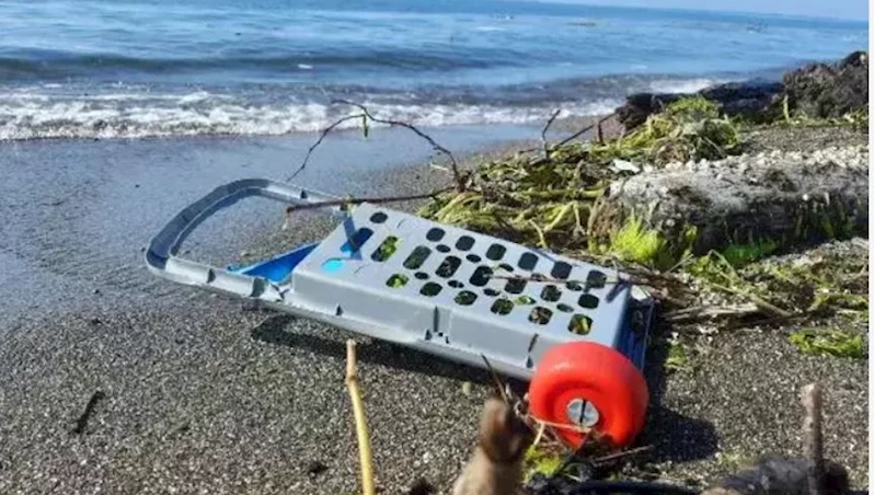 Karadeniz’de mikroplastik tehlikesinde ‘nehir’ etkisi / Ek fotoğraflar