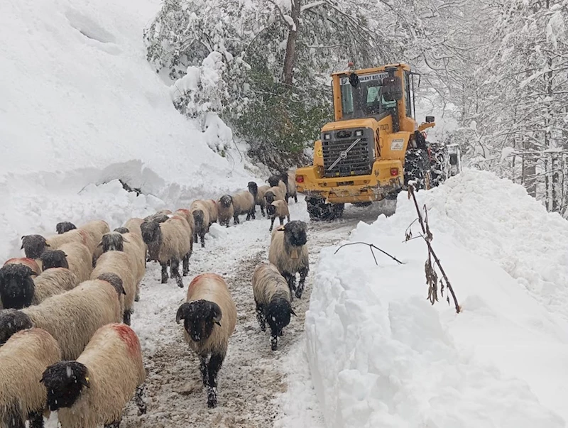 Orta ve Doğu Karadeniz