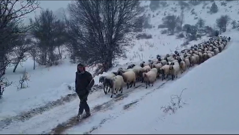 Karda mahsur kalan vatandaşların ve hayvanların imdadına büyükşehir koşuyor