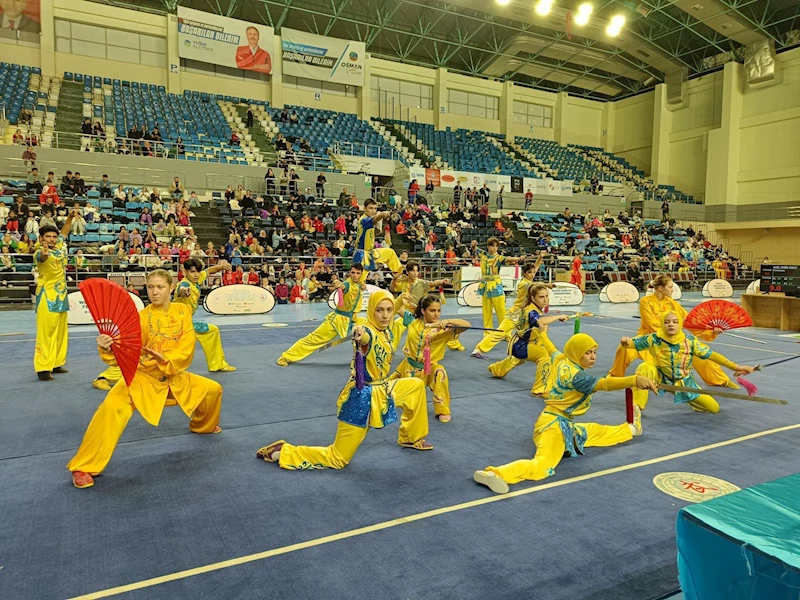 Wushu Türkiye Şampiyonası, Sakarya