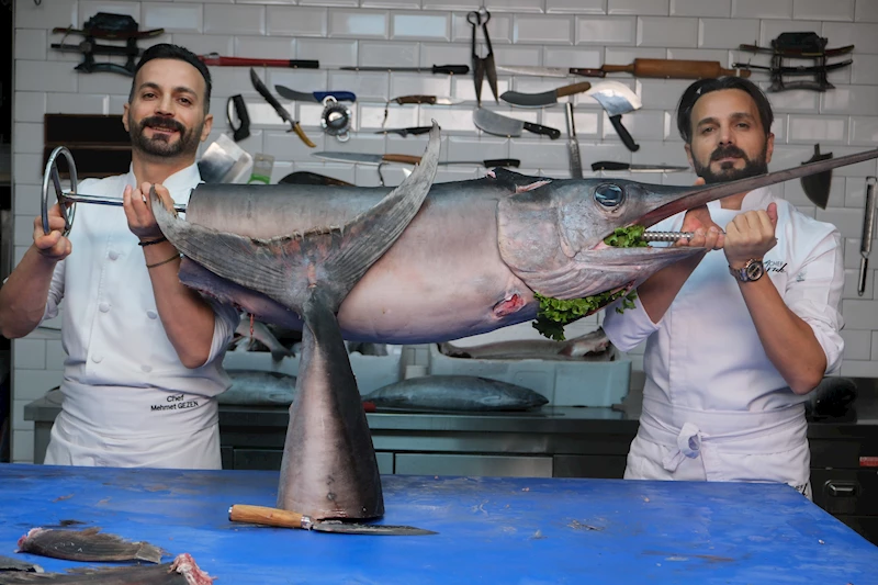 75 kiloluk kılıç balığından cağ kebabı 