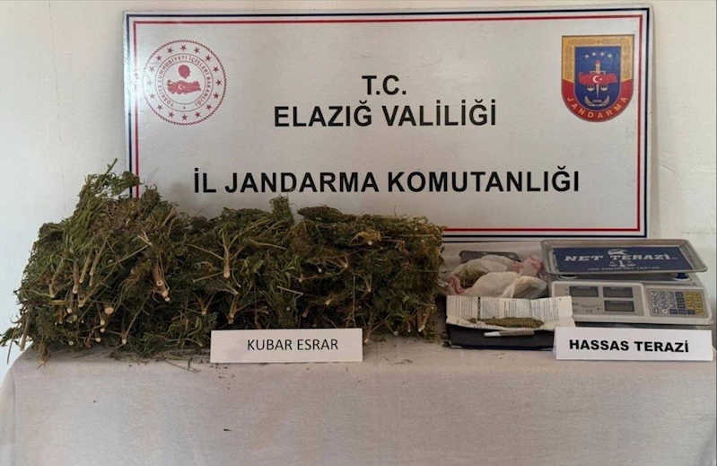 Elazığ’da, adresinde uyuşturucu bulunan şüpheliye gözaltı