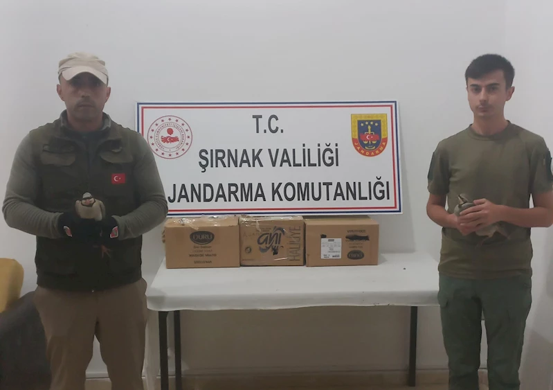 Şırnak’ta yasadışı keklik avına 41 bin 766 lira ceza