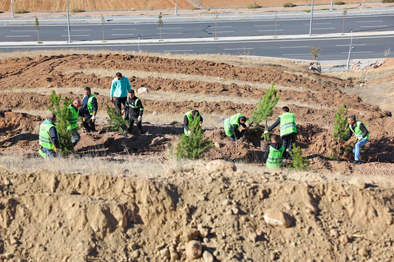 Sivas Belediyesi mevsimlik işçiler adına hatıra ormanı oluşturdu