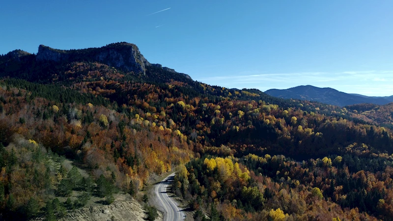 Kastamonu ormanlarında sonbahar renkleri