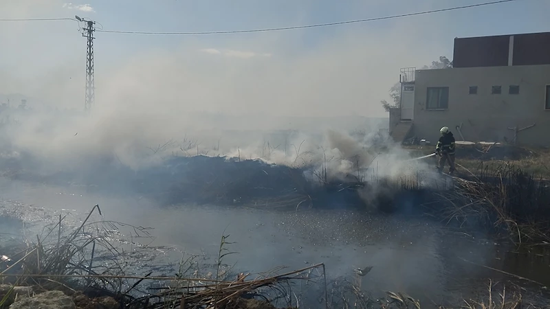 Sazlık alandaki yangın korkuttu